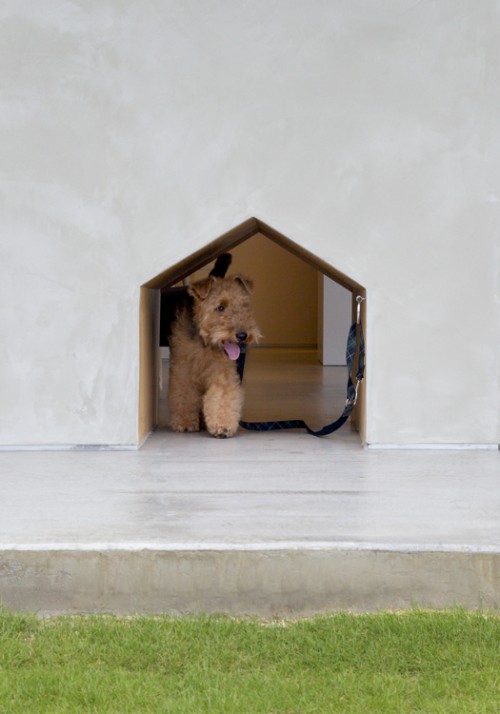 Chico Dog Shop Japan by Atelier Kuu